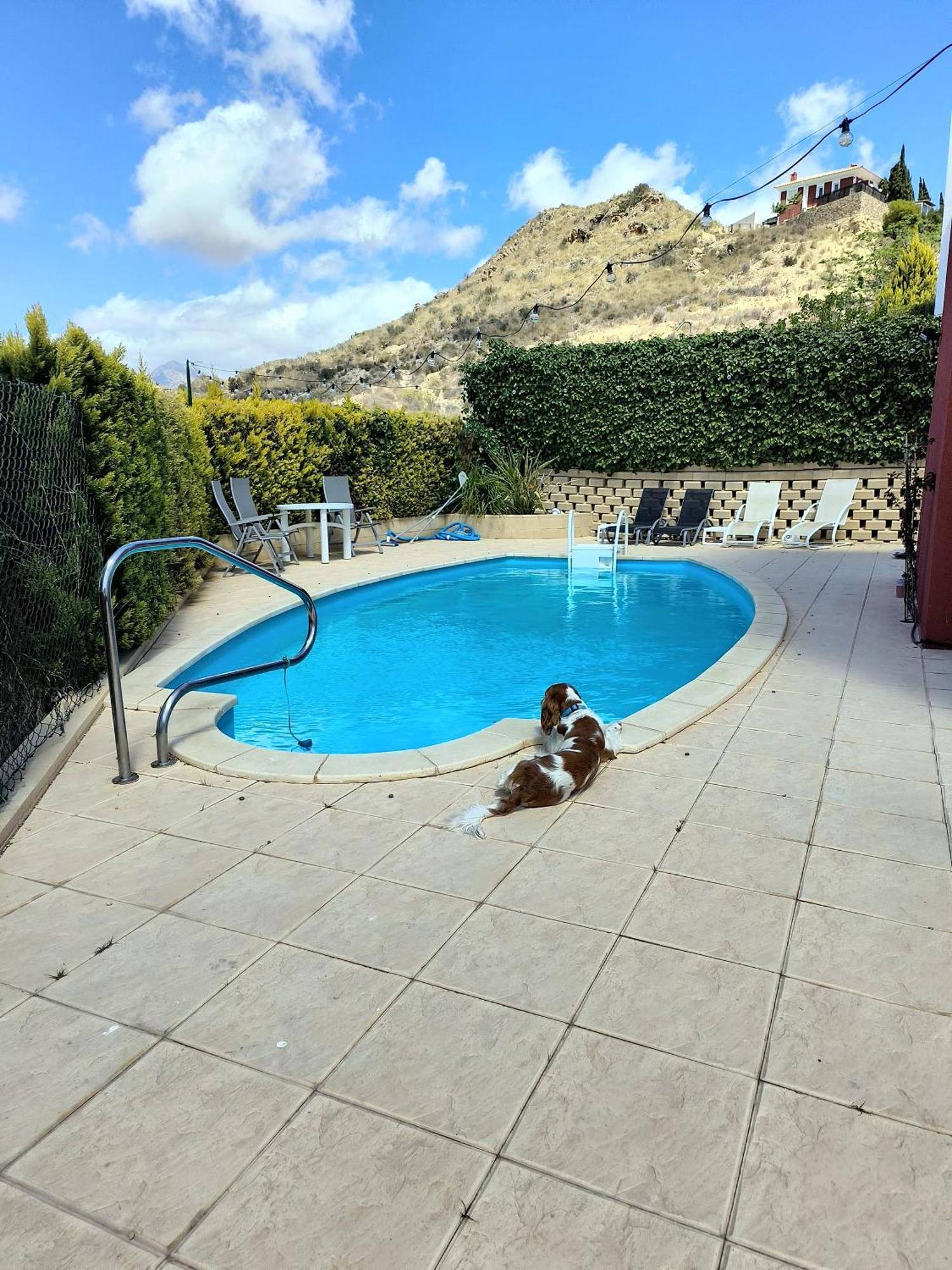 Villa Alicante - Bonalba Golf Мучамел Екстериор снимка